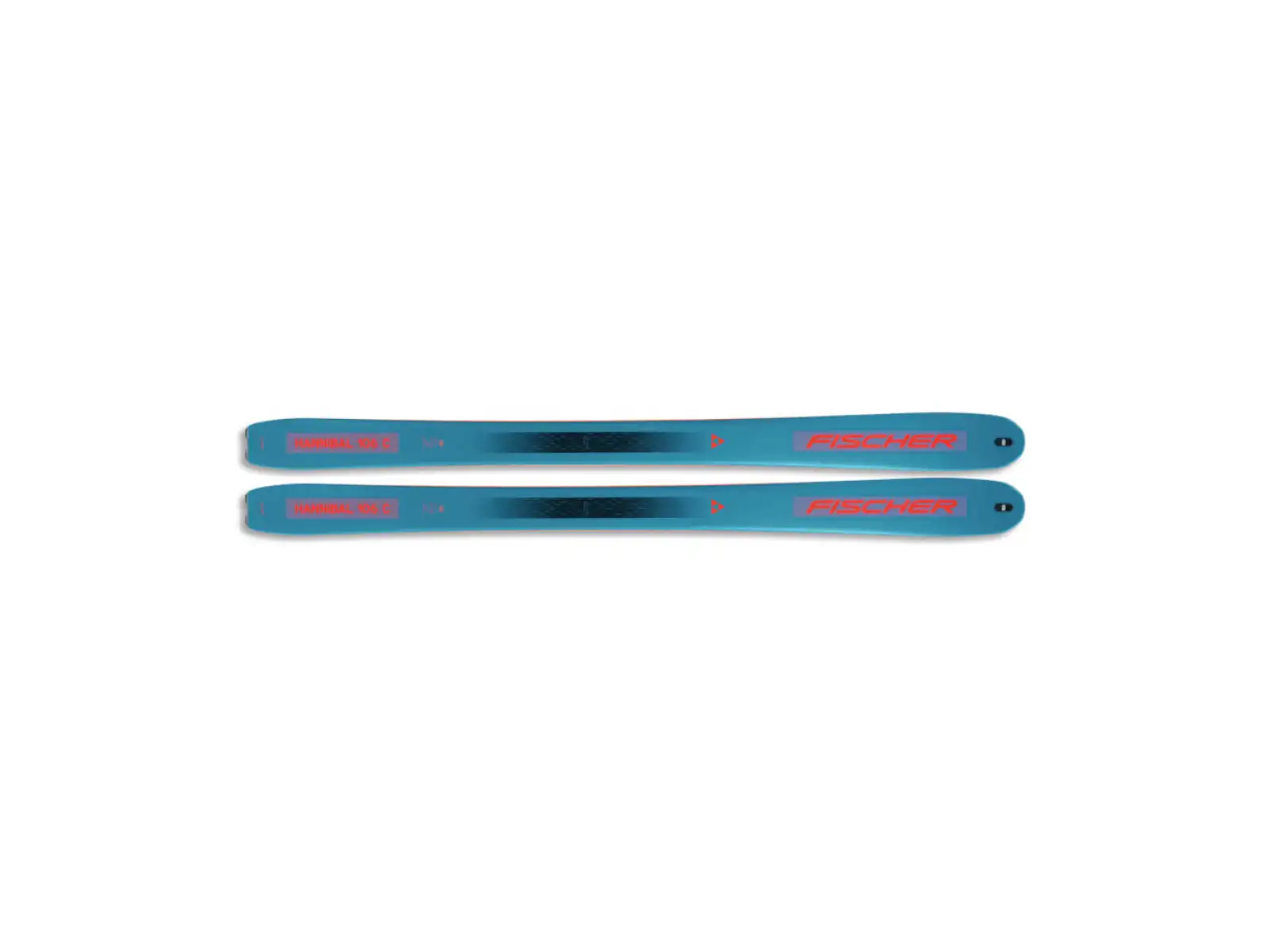 Die Fischer Hannibal 106 Carbon Skitourenski 22/23