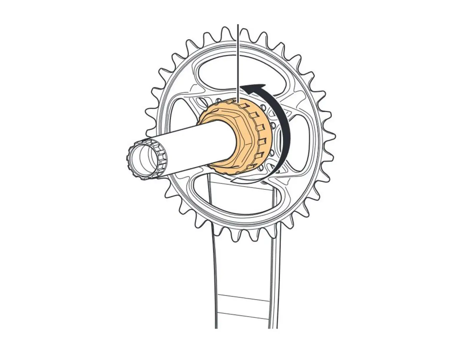 Shimano TL-FC41 Sicherungsring-Werkzeug für 12-fach Kettenblätter