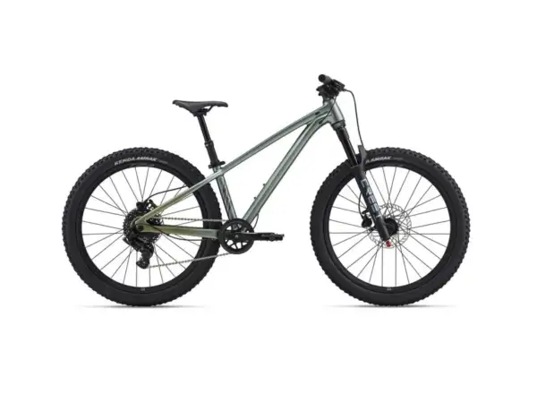 Liv STP 24 Kinder-Mountainbike Alpine Green