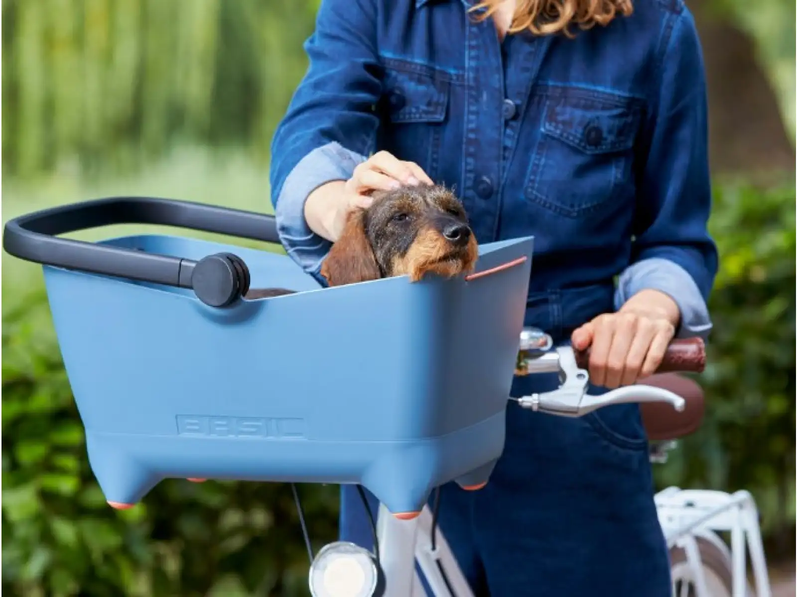 Basil Buddy KF Hundekorb 32 L