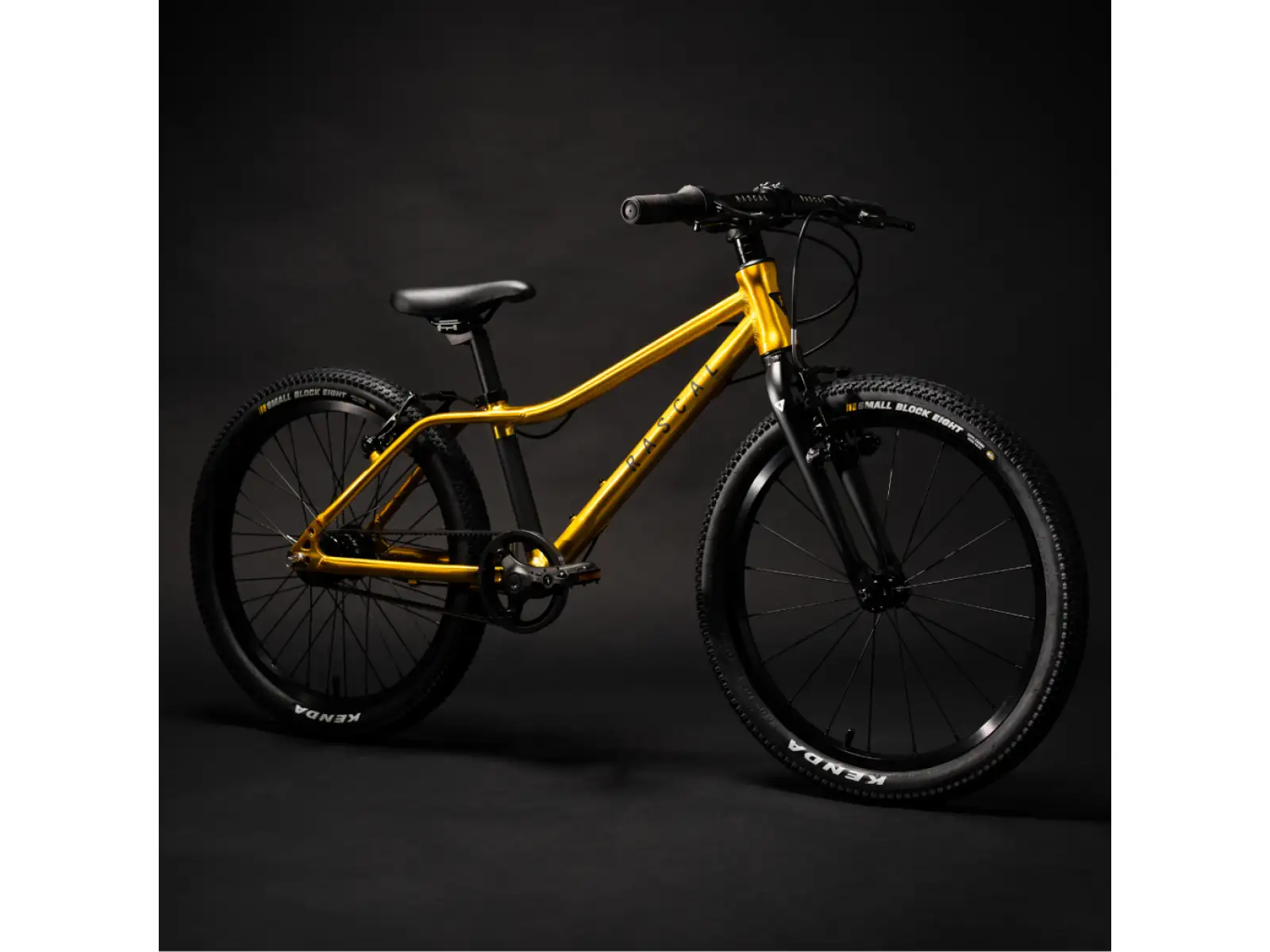 Rascal 20 Kinderfahrrad Gold