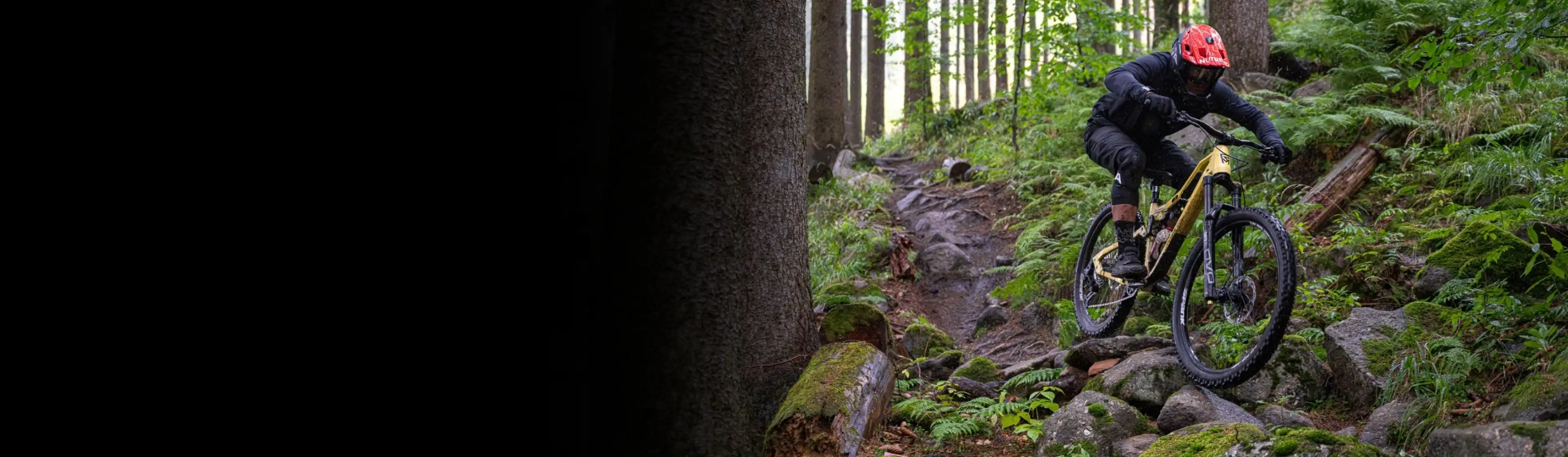 Starke Räder. Jedes Terrain.
