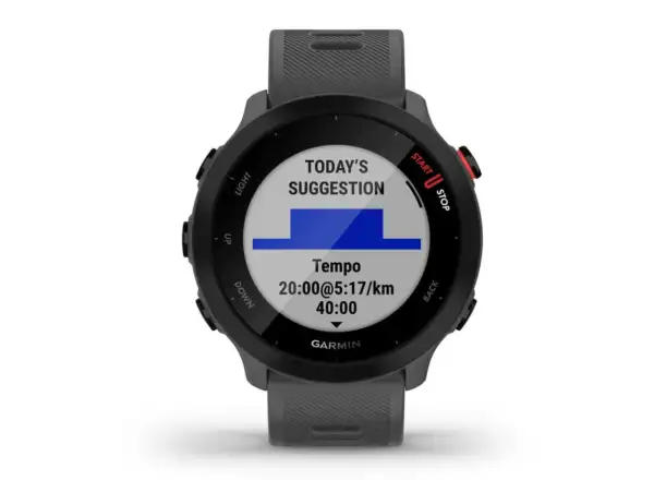 Garmin Forerunner 55 Smartwatch Grau