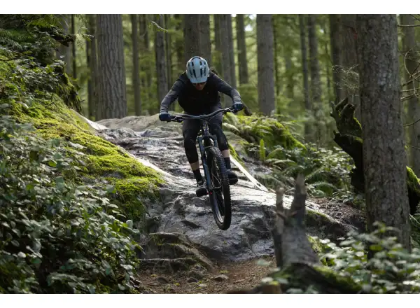 Giant Stance 2026 Mountainbike Black