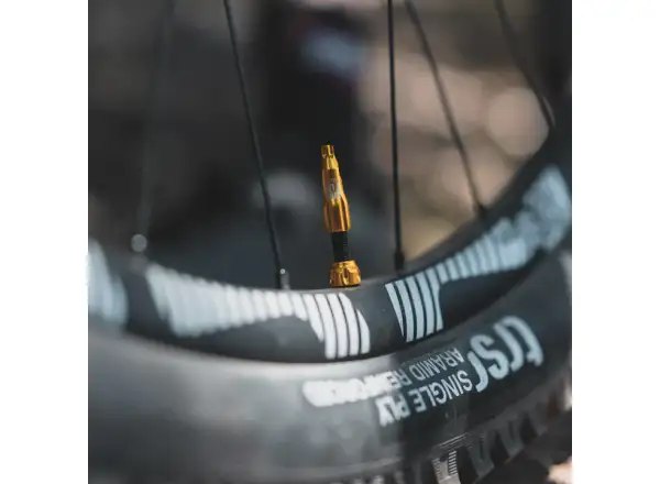 Lezyne CNC TLR Tubeless Ventile 44 mm Silber