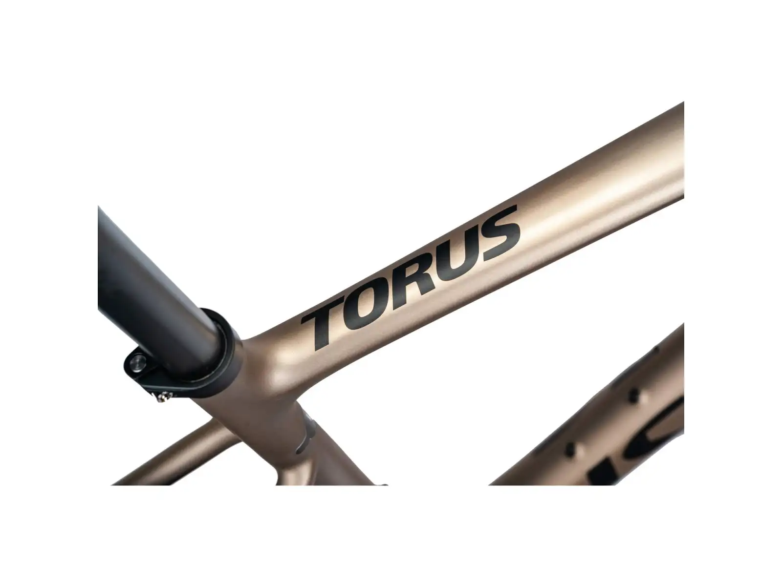 Isaac Torus Xplore Gravelbike GRX825 Di2 1x12 Blast Bronze