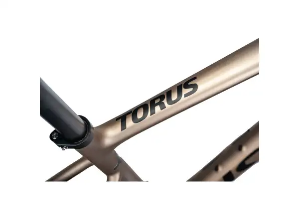 Isaac Torus Xplore Gravelbike GRX825 Di2 1x12 Blast Bronze