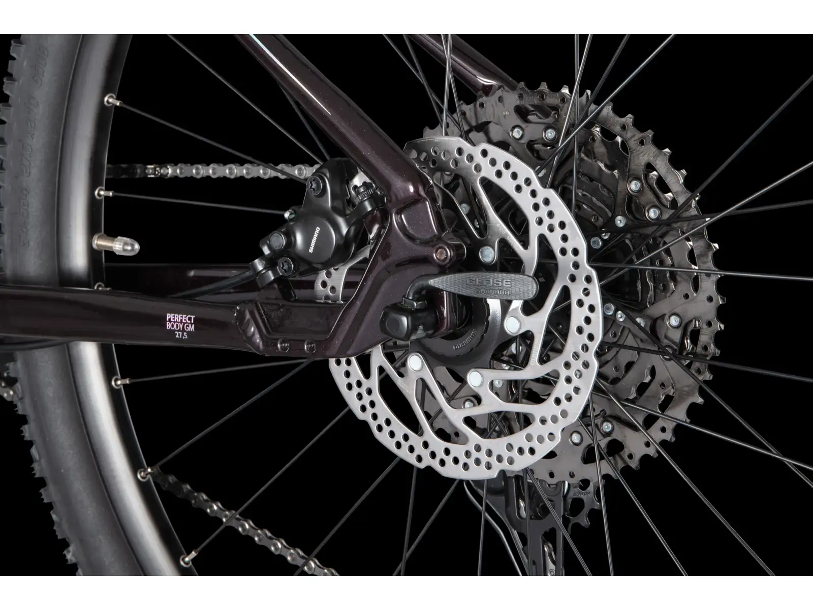 4Ever Frontbee Lady 27,5" Damen Mountainbike Dark wine/silver