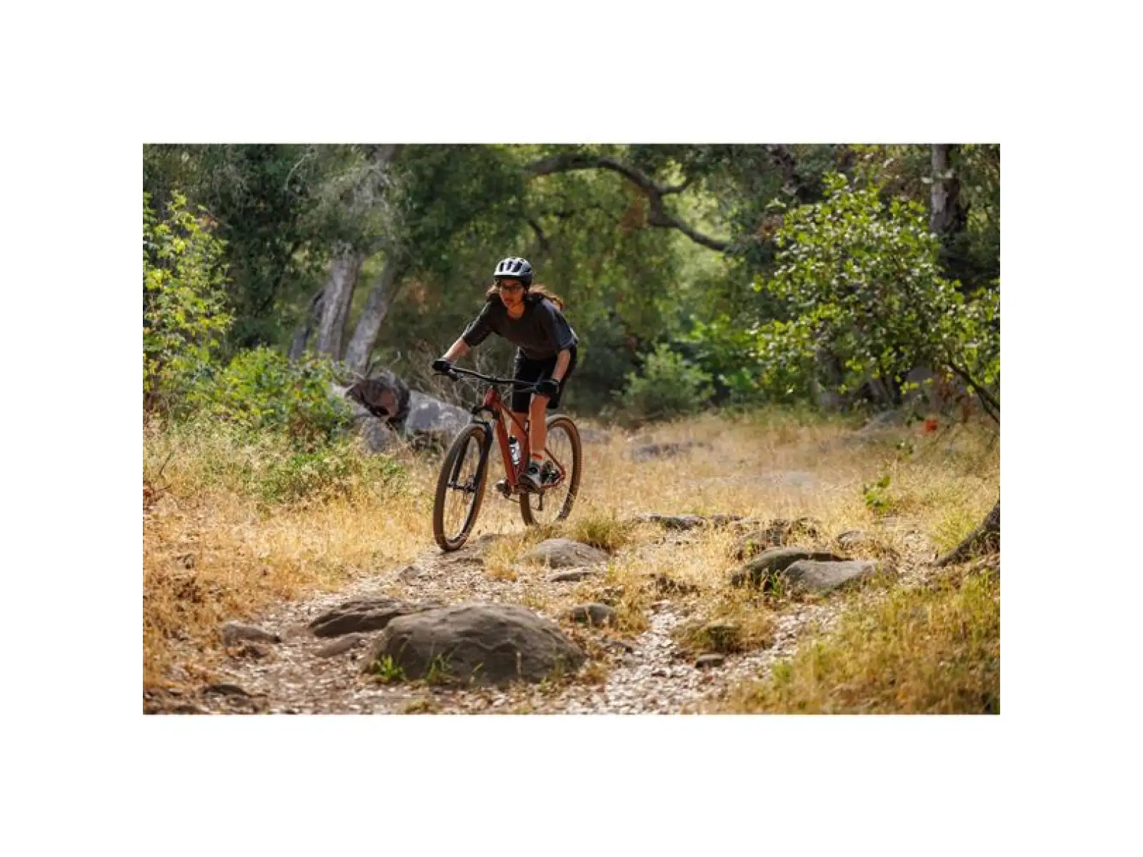 Giant Tempt 2 XS Mountainbike Mars Dust