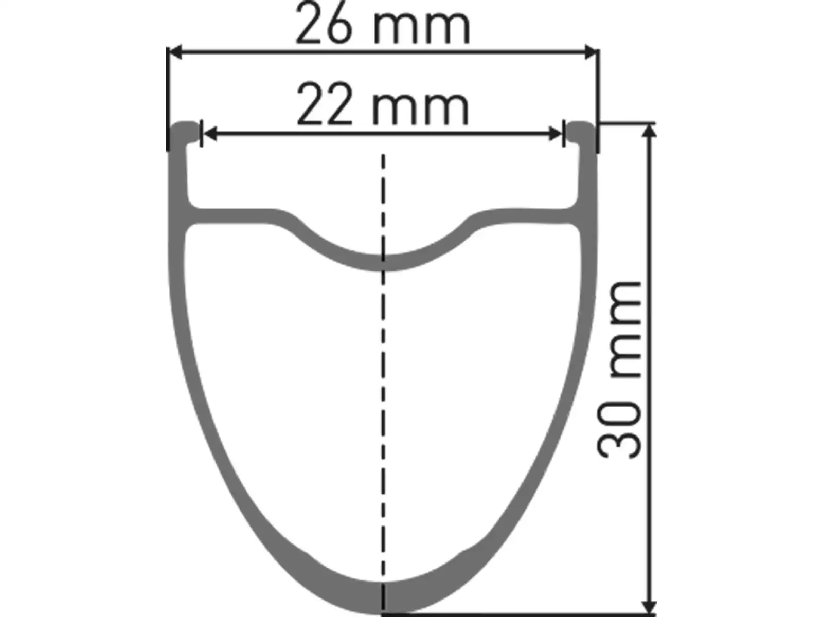 DT Swiss E 1800 Spline 30 DB 700C CL 12/100 Vorderrad - Unverpackt