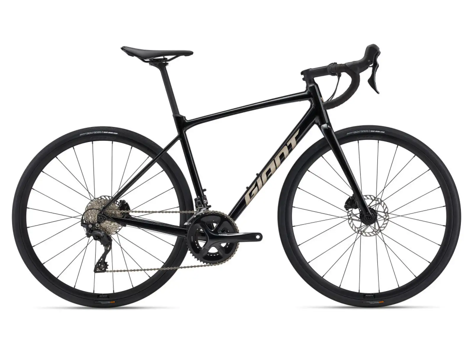 Giant Contend AR 1 Rennrad Panther.