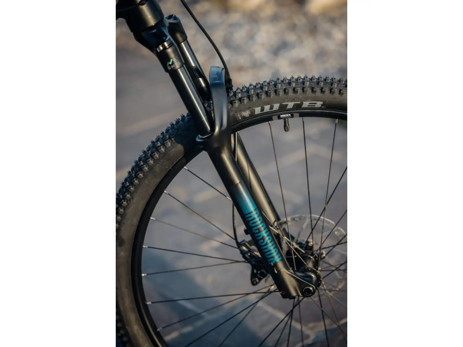 Rock Machine Torrent E90-29 Easy Entry Mountain-E-Bike Petrol MUSTER