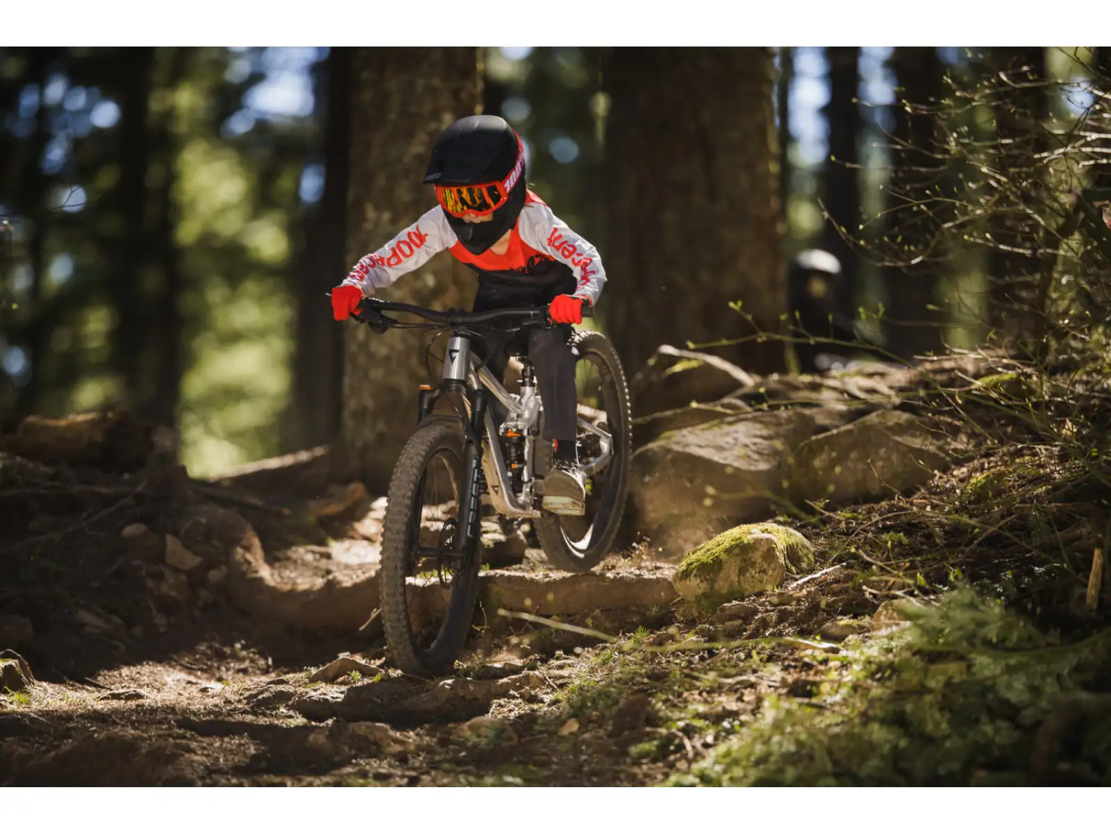 Giant Faith 24 Kinder Fully Fahrrad Raw Aluminium