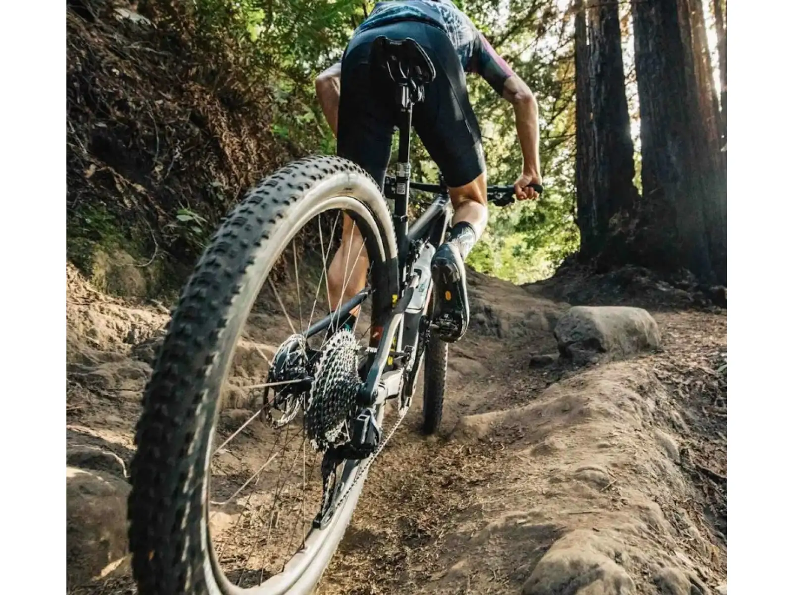 Santa Cruz Blur 4 CC XC 29" MTB Rahmen-Set