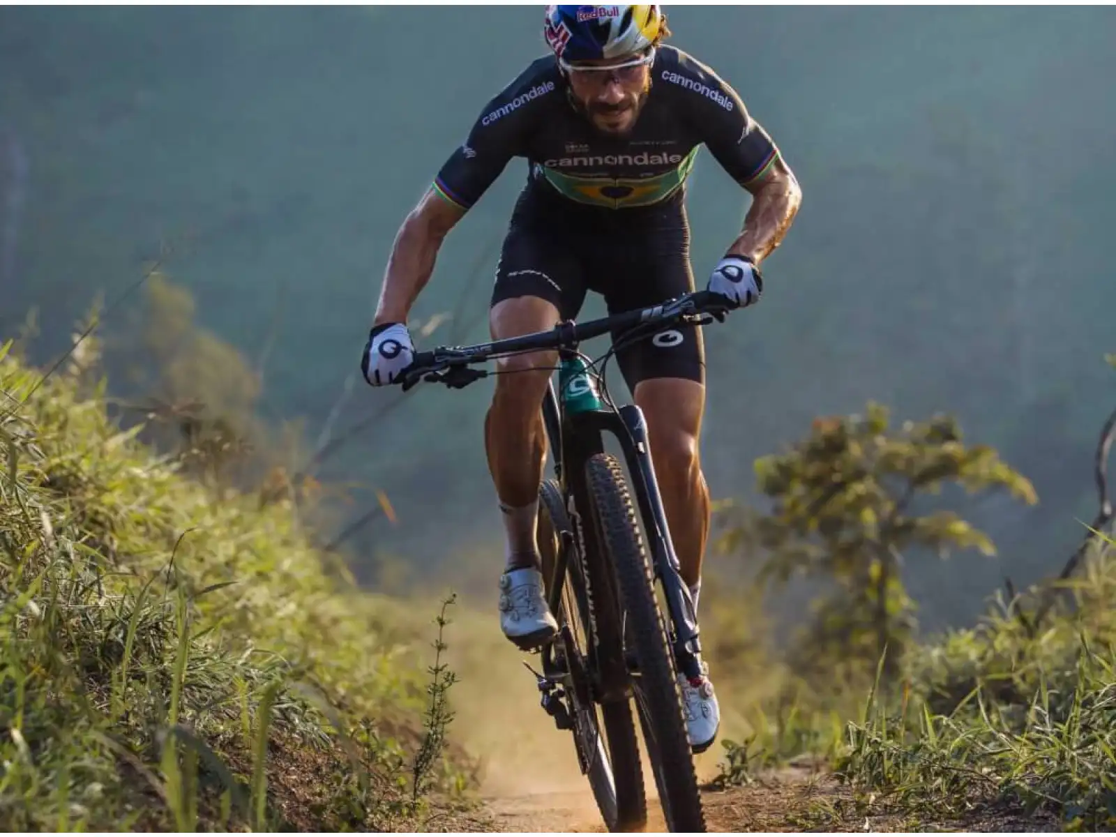 Cannondale Scalpel Carbon 4 29" JNG Mountainbike