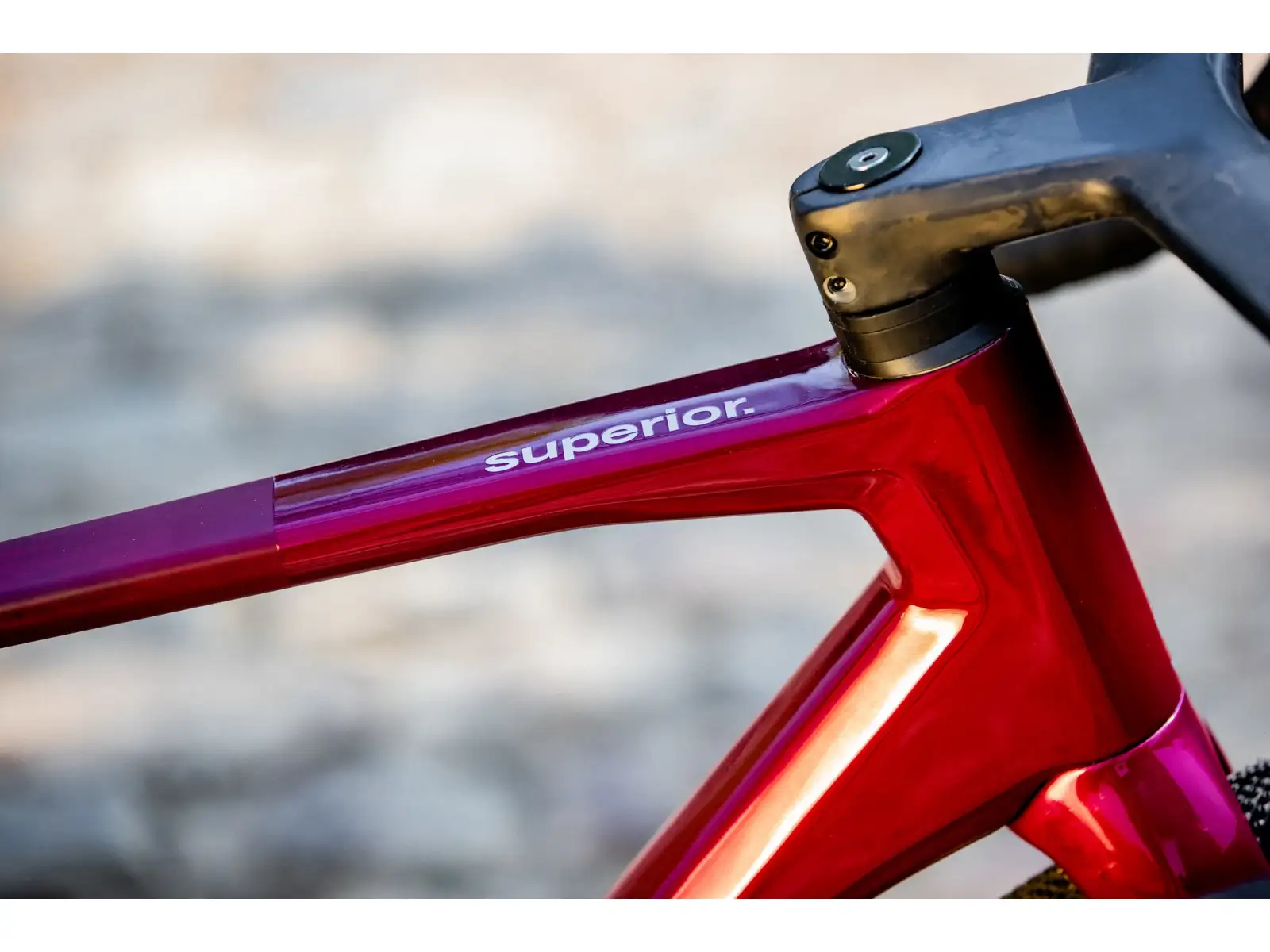 Superior X-Road 9.7 GR Gravelbike in mattem Beeren-Carbon