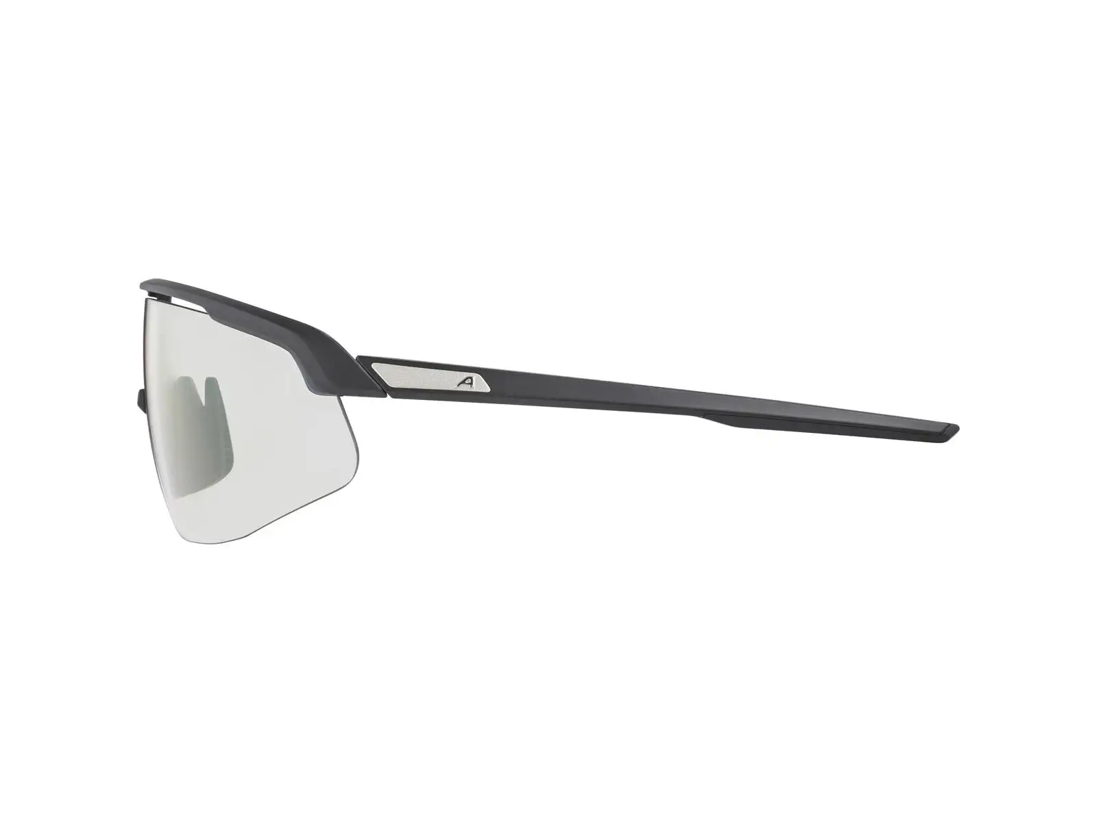Alpina Turbo Pro V Brille Clear to Grey