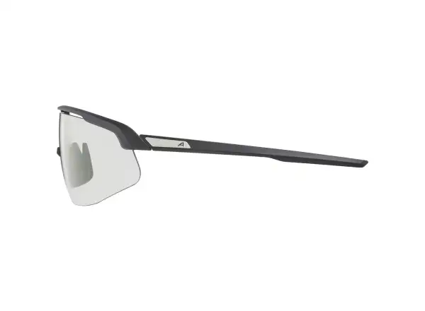 Alpina Turbo Pro V Brille Clear to Grey