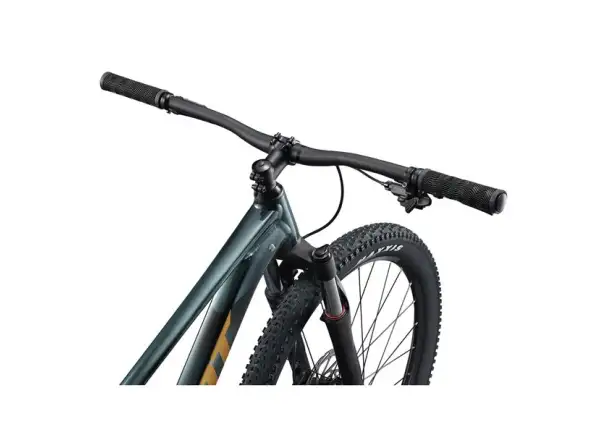 Giant Talon 29 2 Mountainbike Asphalt Green