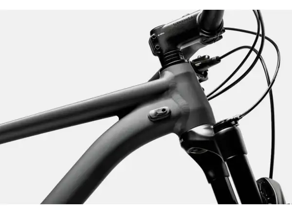 Cannondale Trail SL 4 29" GRY Mountainbike