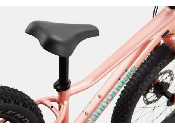 Cannondale Trail Plus 20 Kinderfahrrad Salmon