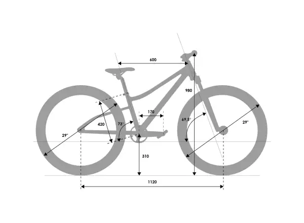 Rascal Wild 29 Limited Kinderfahrrad Silber