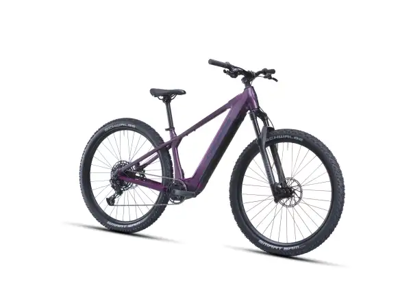 Crussis e-Fionna AX 9.12-M2(600) Mountain-E-Bike