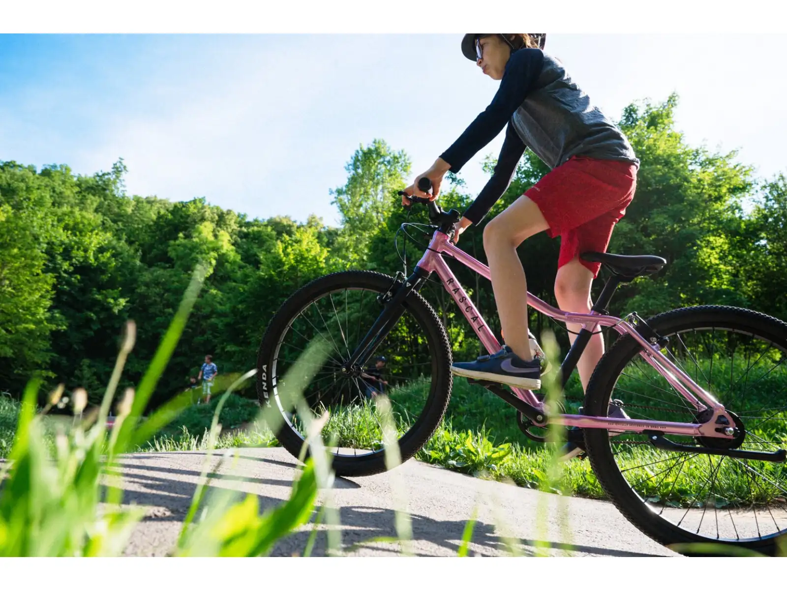 Rascal 24 3 sp. Shimano Nexus Kinderfahrrad Titan