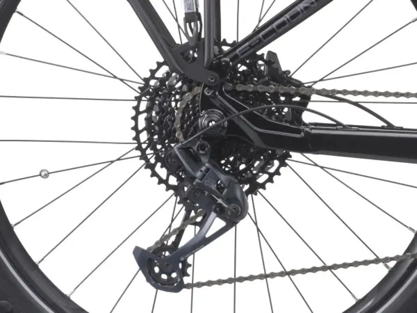 Crussis e-Country 10.10-M (720 Wh) Tiefeinstieg E-Bike