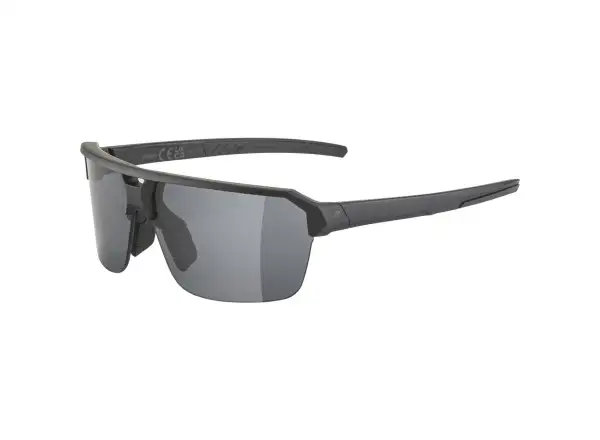 Alpina Swift HR Brille Black Matt