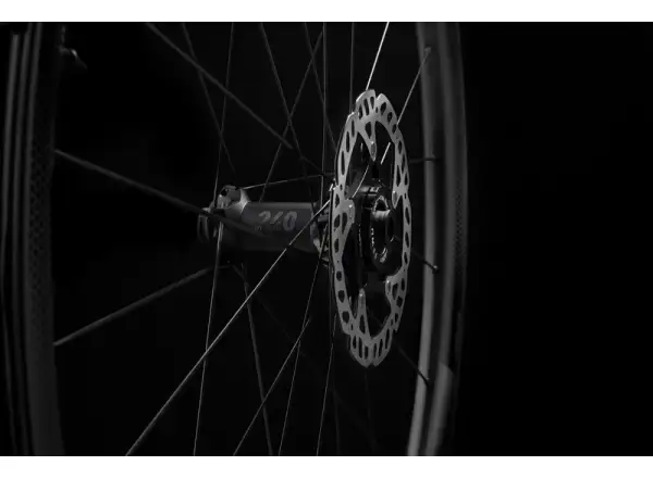 FFWD RYOT33 DT240 2:1 EXP Straßenrad Felgen Mattschwarz Nuss Sram XDR.