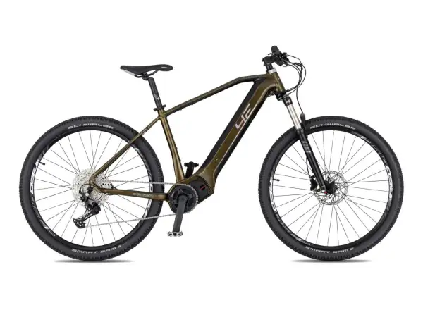 4EVER Exstream Team Mountain-E-Bike Jungle Gold/Mirror