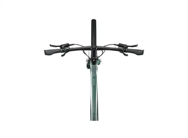 Giant FastRoad AR Advanced 2 Fitnessbike Nebelwald
