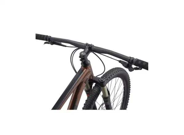 Giant Talon 29 1 GE Hematite Mountainbike