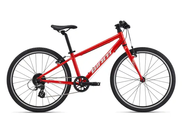 Giant ARX 20 Kinderfahrrad Phoenix Fire