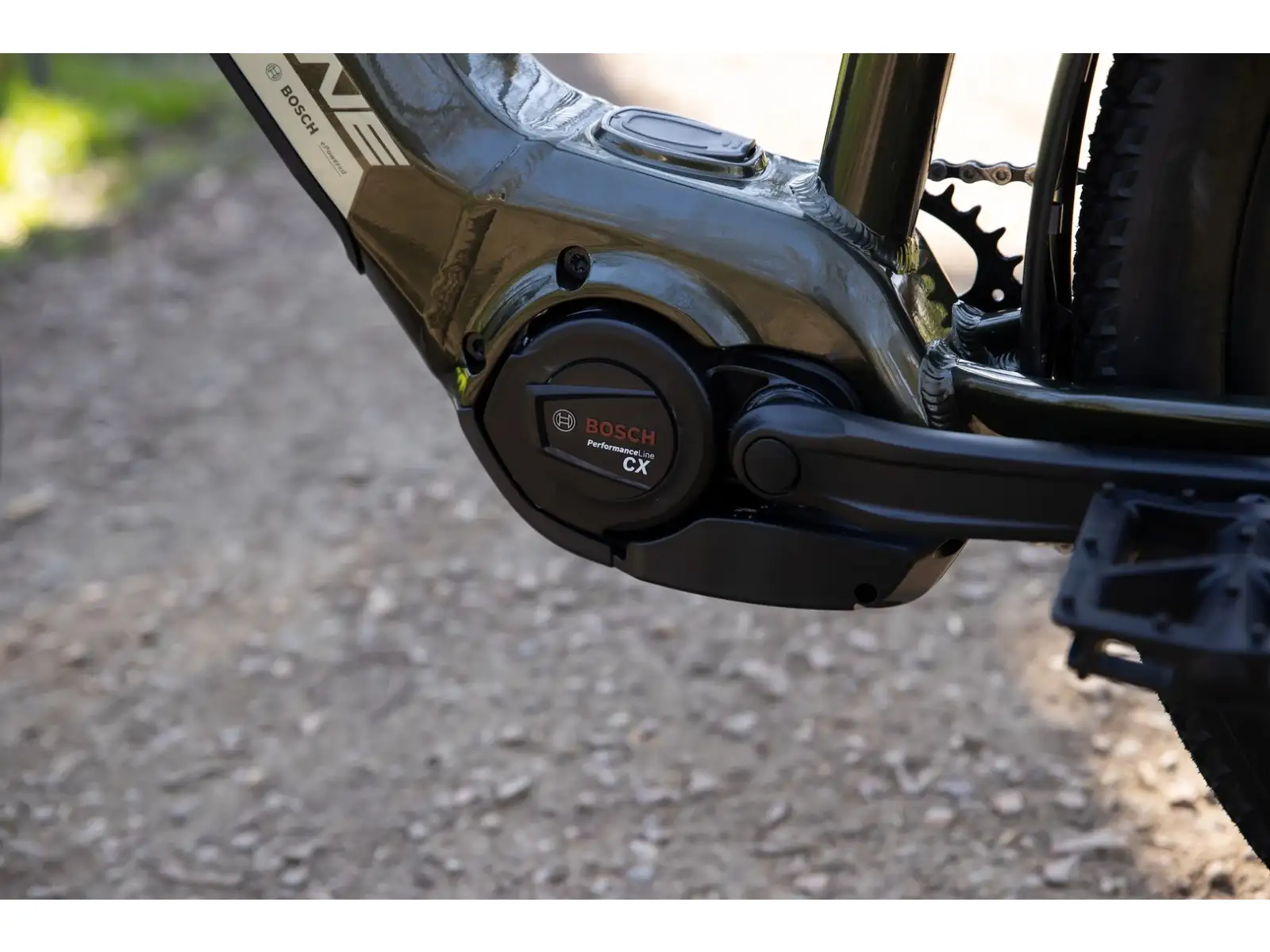 Rock Machine eBlizz B70T Elektro-Mountainbike – Gloss Dark Forest