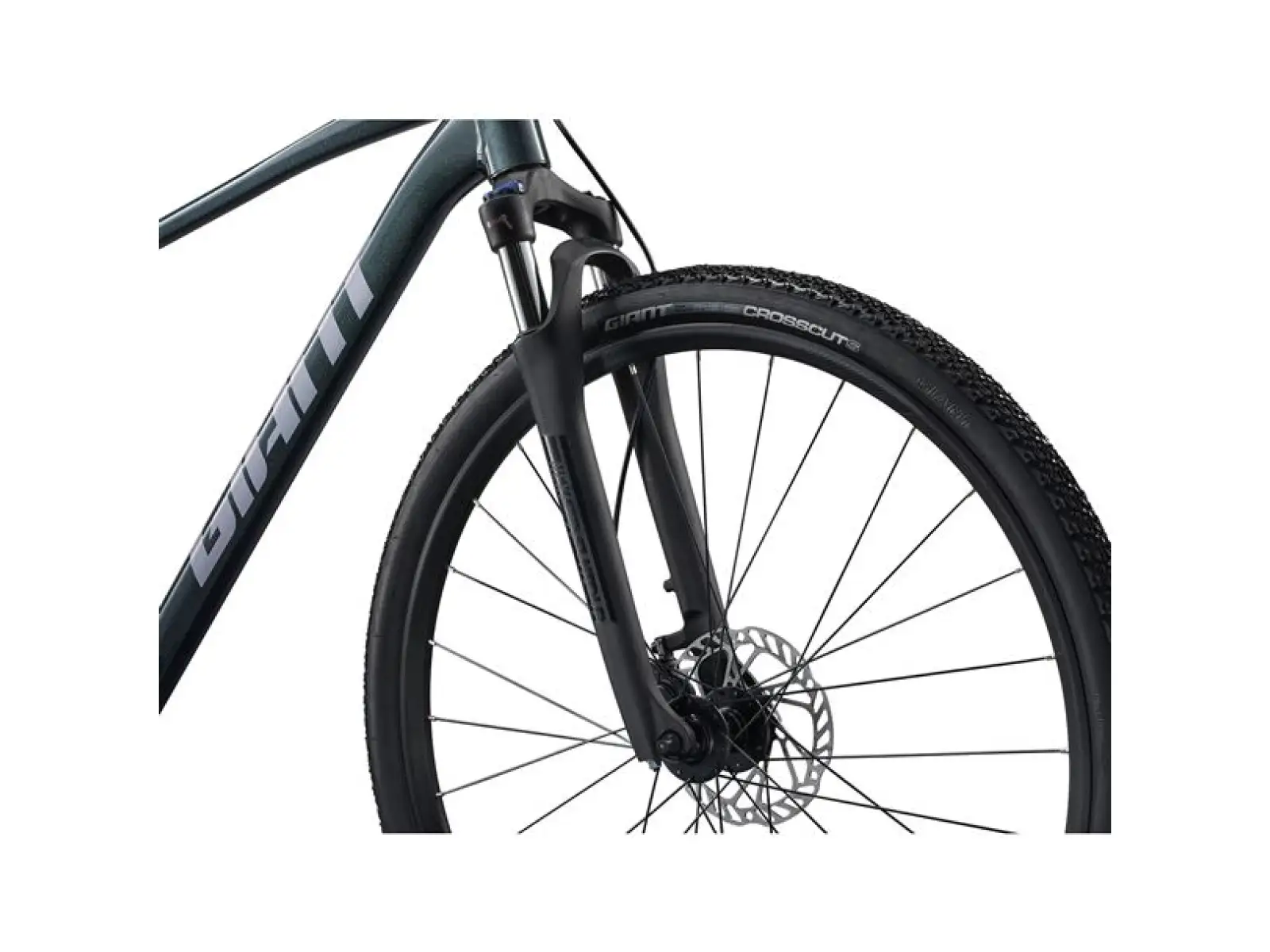 Giant Roam 2 Asphalt Trekkingrad Green