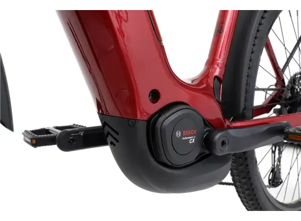 Apache Rio Grande Bosch CX 800 Wh Trekking-E-Bike