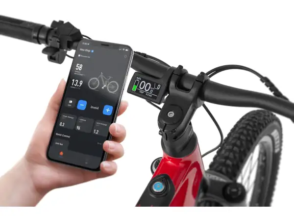Ecobike RX 500 960 Wh schwarz rotes Mountain E-Bike