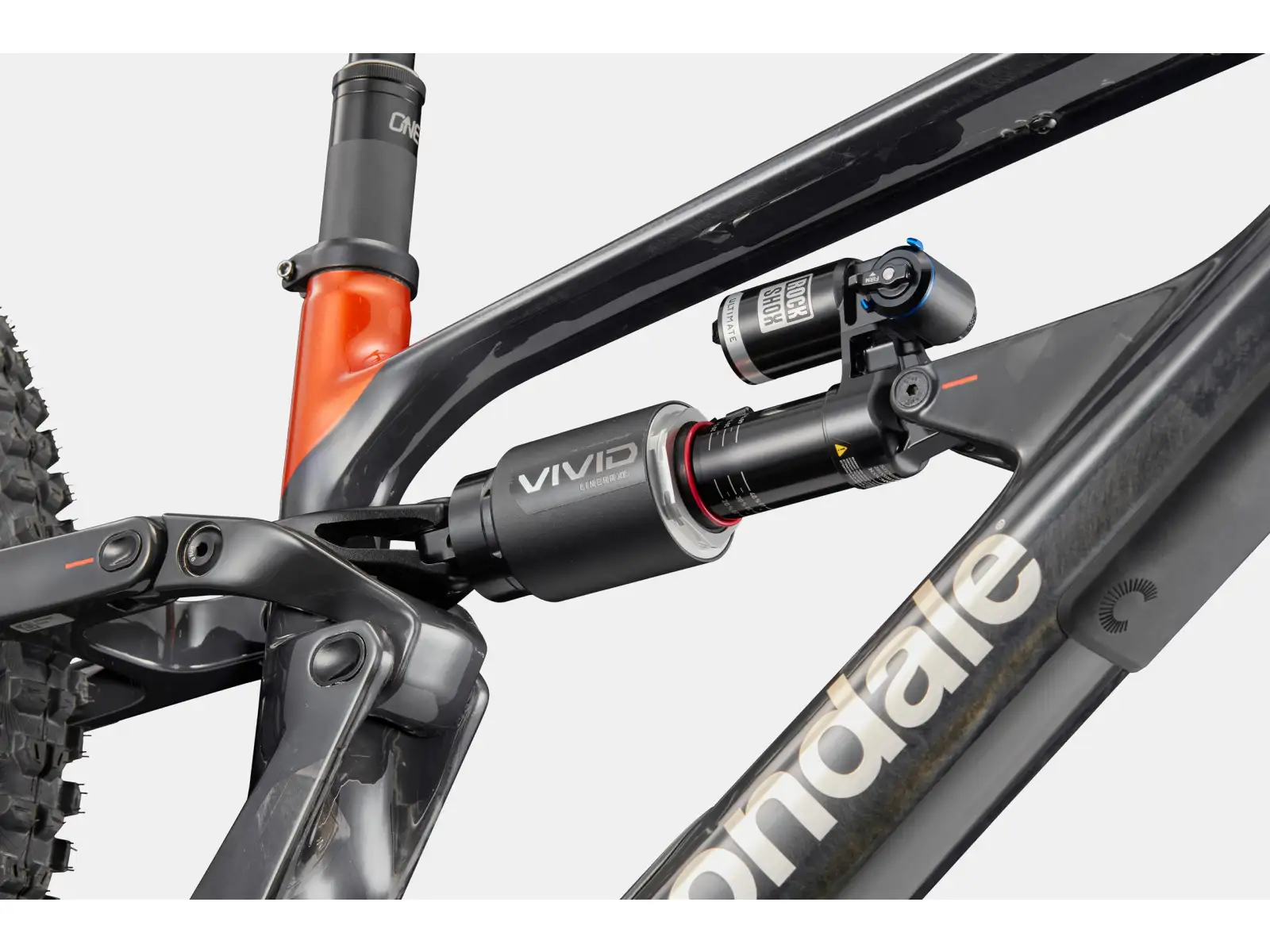 Cannondale Bad Habit 1 Mountainbike RAW Carbon