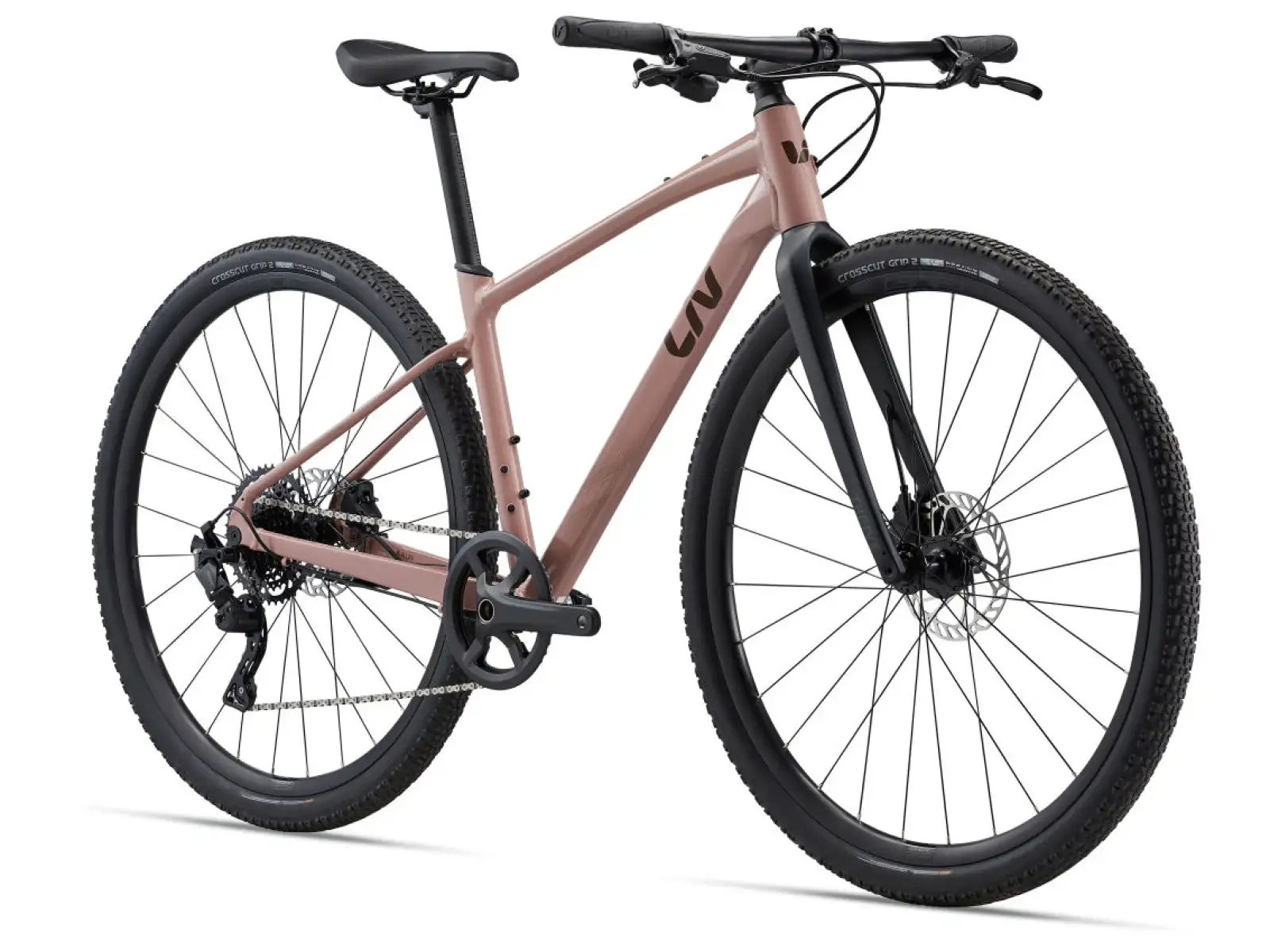 Liv Thrive GX Fitnessrad von Petra Clay.