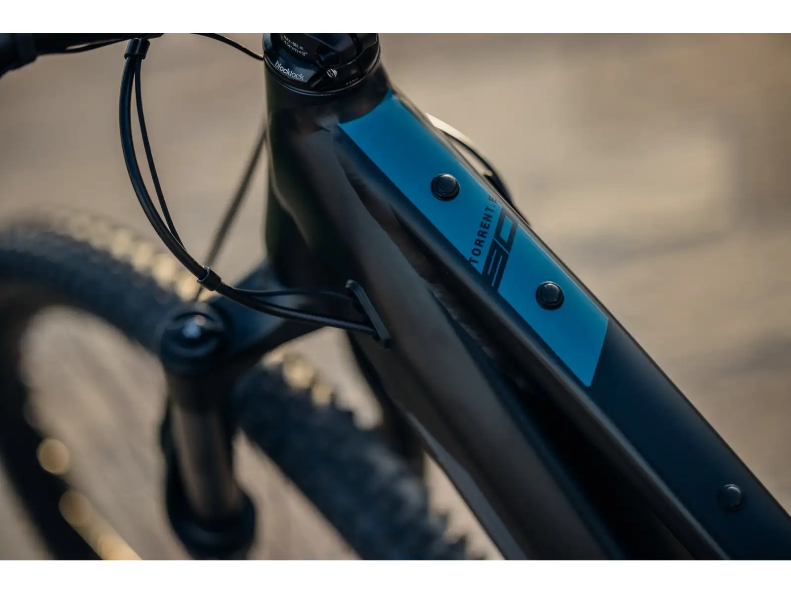 Rock Machine Torrent E90-29 Easy Entry Mountain-E-Bike Petrol MUSTER