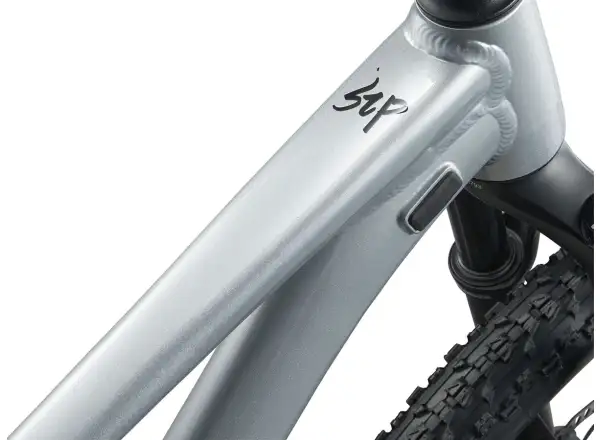 Giant STP 26 M Kinder-Mountainbike Quicksilver