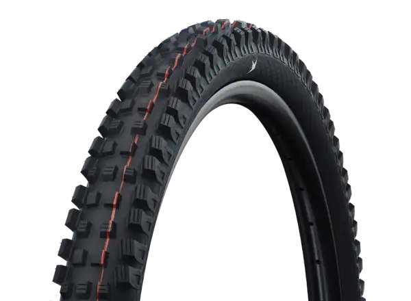 Schwalbe Magic Mary Gravity Pro TLR Reifen Kevlar