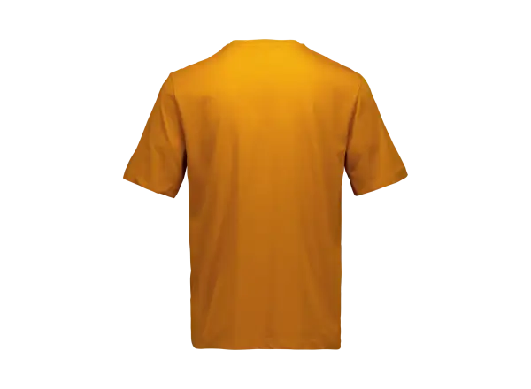 POC Tee Herren T-Shirt Bauxite Brown