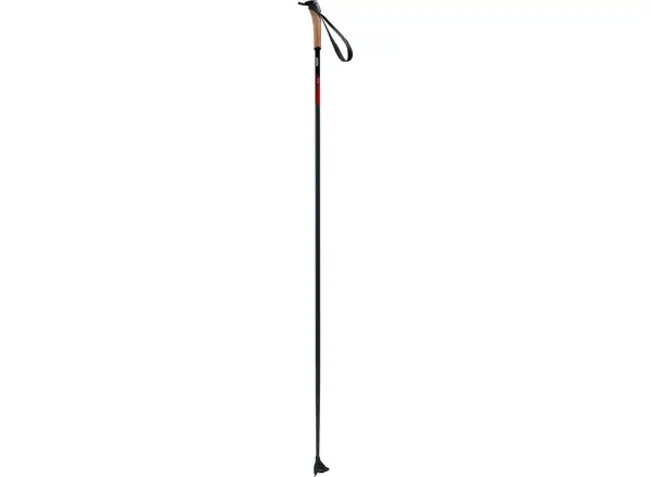 Swix Elite Basic Langlaufstöcke