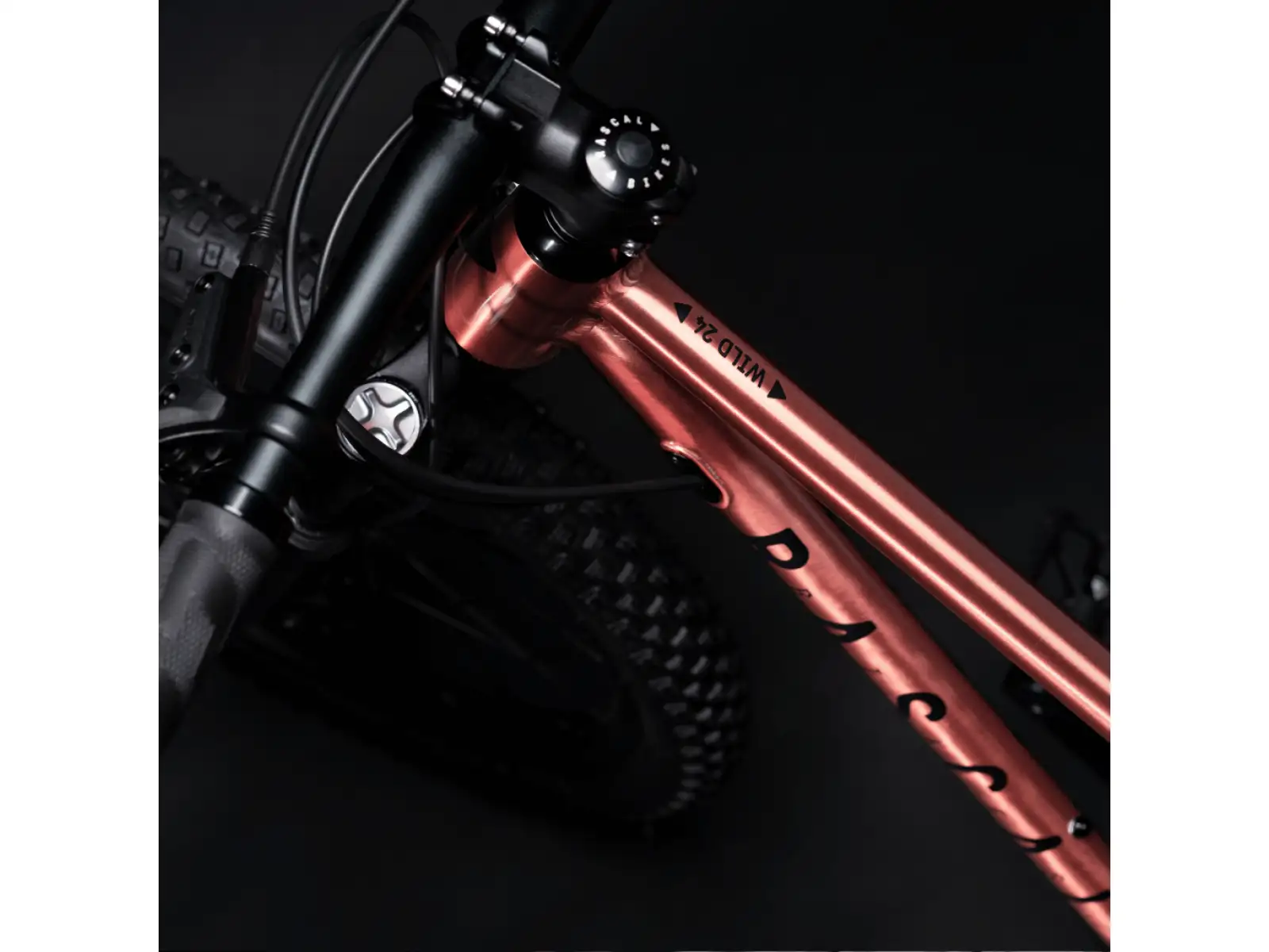 Rascal Wild 24 Kinderfahrrad Bronze