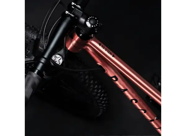Rascal Wild 24 Kinderfahrrad Bronze