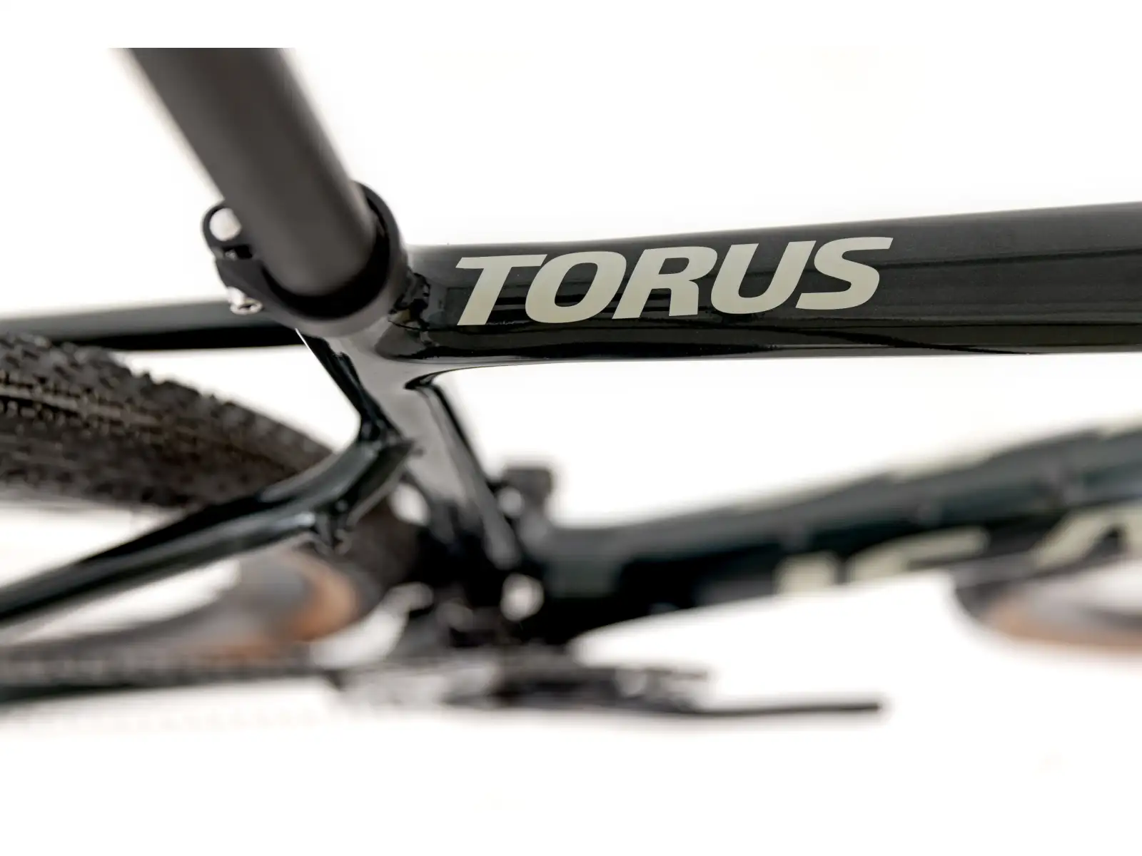 Isaac Torus Xplore GRX 610/820 2x12 Gravel Fahrrad Moss Green
