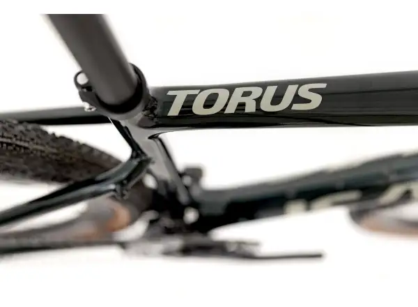 Isaac Torus Xplore GRX 610/820 2x12 Gravel Fahrrad Moss Green